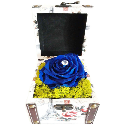 cadou cu trandafir criogenat albastru cadou fete cu trandafir criogenat albastru in cufar de lemn