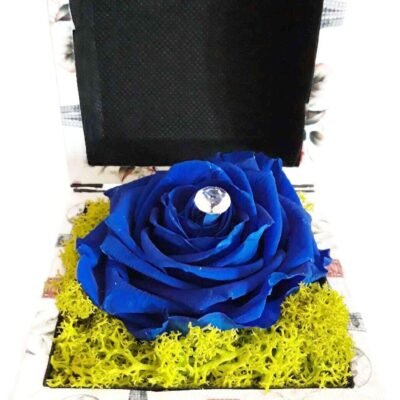 cadou cu trandafir criogenat albastru1 cadou cu trandafir criogenat albastru si accesoriu diamant