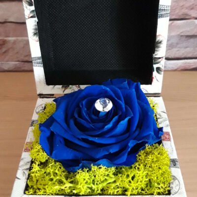 cadou pentru femei cu trandafir criogenat albastru cadou pentru femei cu trandafir criogenat albastru in cufar de lemn