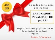 card cadou 400 lei